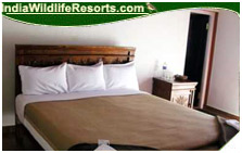 Hornbill Camp
