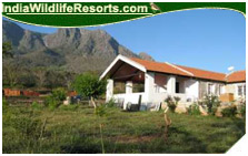 Hornbill Camp
