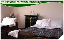 Hornbill Camp