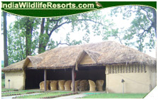 Dhikala Forest Lodge