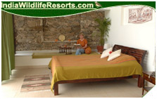 Dholes Den Resort