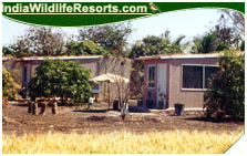 Gir Birding Lodge, Gir National Park