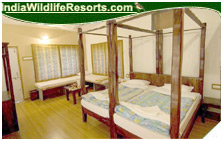 Gir Birding Lodge, Gir National Park