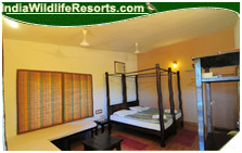 Gir Birding Lodge, Gir National Park