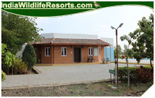 Gir Jungle Lodge