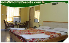 Gir Jungle Lodge