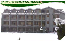 Hotel Paradise, Srinagar