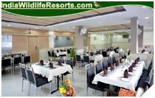 Hotel Wind Flower