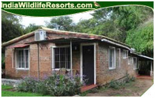 Hornbill Camp