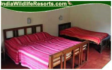 Hornbill Camp