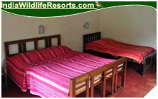 Hornbill Camp