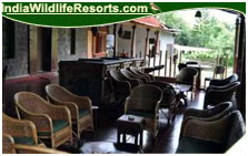 Hornbill Camp
