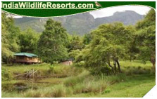 Hornbill Camp