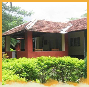 Jungle Inn Resort, Nagarhole National PArk