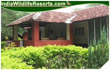 Jungle Inn Resort, Nagarhole National Park