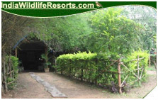 Jungle Inn Resort, Nagarhole National Park