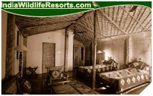 Junglemantra Resort, Bandhavgarh National Park