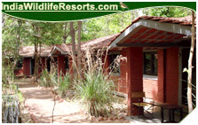 Kanha Jungle Lodge, Kanha National Park