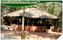 Kanha Jungle Lodge, Kanha National Park