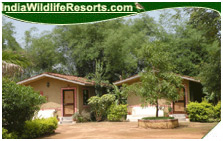 Kanha Jungle Lodge, Kanha National Park