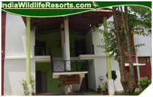 kanha meadows retreat