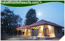 Kingslodge, Bandhavgarh National Park