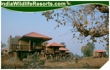 Kingslodge, Bandhavgarh National Park