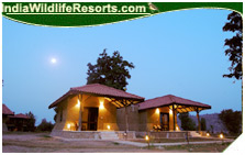 Kingslodge, Bandhavgarh National Park