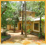 Krishna Jungle Resort, Kanha National Park