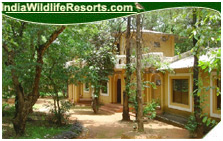 Krishna Jungle Resort, Kanha National Park