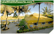 Lion Safari Camp Resort, Gir