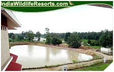 Wild Chalet Resort, Kanha National Park