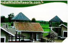 Wild Chalet Resort, Kanha National Park