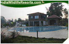 mogli jungle resort