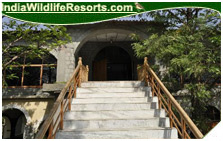 mogli jungle resort