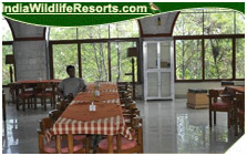 mogli jungle resort