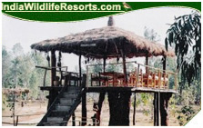 Mogli Jungle Resort