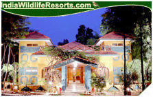 Nature Heritage Resort, Bandhavgarh National Park