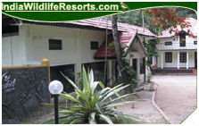 Orchid Resort, Wayanad