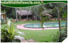 Orchid Resort, Wayanad