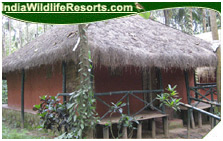 Orchid Resort, Wayanad