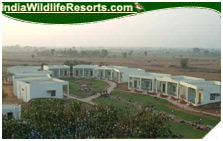 Pugmark Resort, Ranthambore National Park