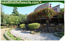 Quality Inn Jungle Resort