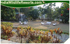 Quality Inn Jungle Resort