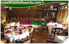 Quality Inn Jungle Resort