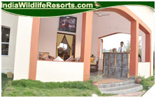 sanjay tiger resort