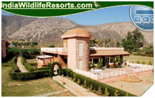 Sariska Tiger Camp