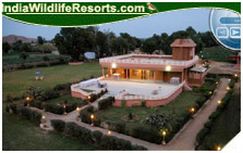 Sariska Tiger Camp