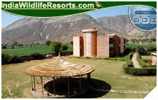 Sariska Tiger Camp