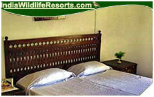 Sariska Tiger Haven